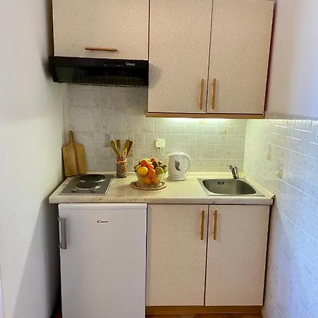 Apartmán Palmgarden Opatija-icici *