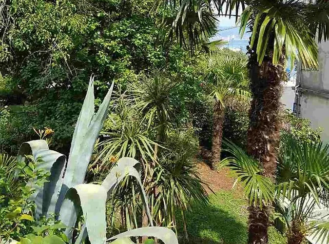 Palmgarden Opatija-icici